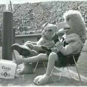 Meet your Posher, Joe jack